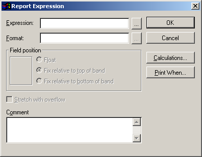 Empty Report Expression Window